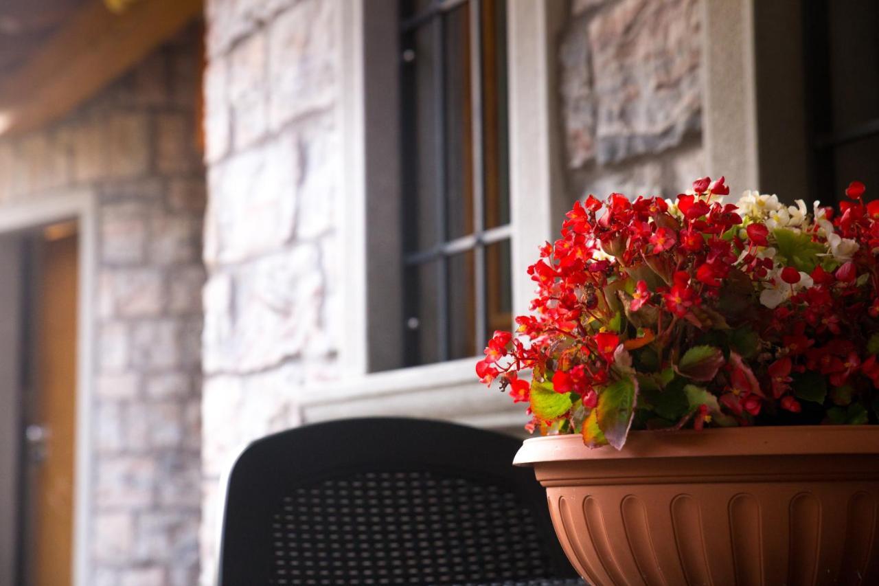 B&B San Pellegrino Terme Zogno Dış mekan fotoğraf